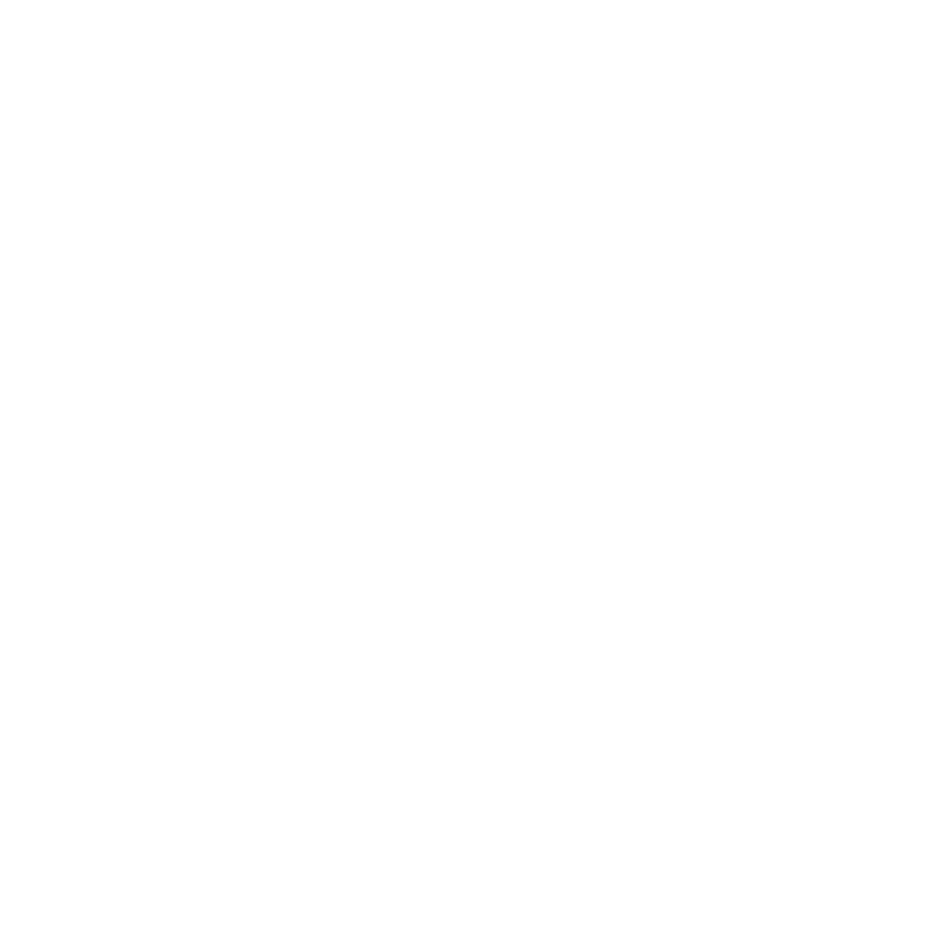 light logo