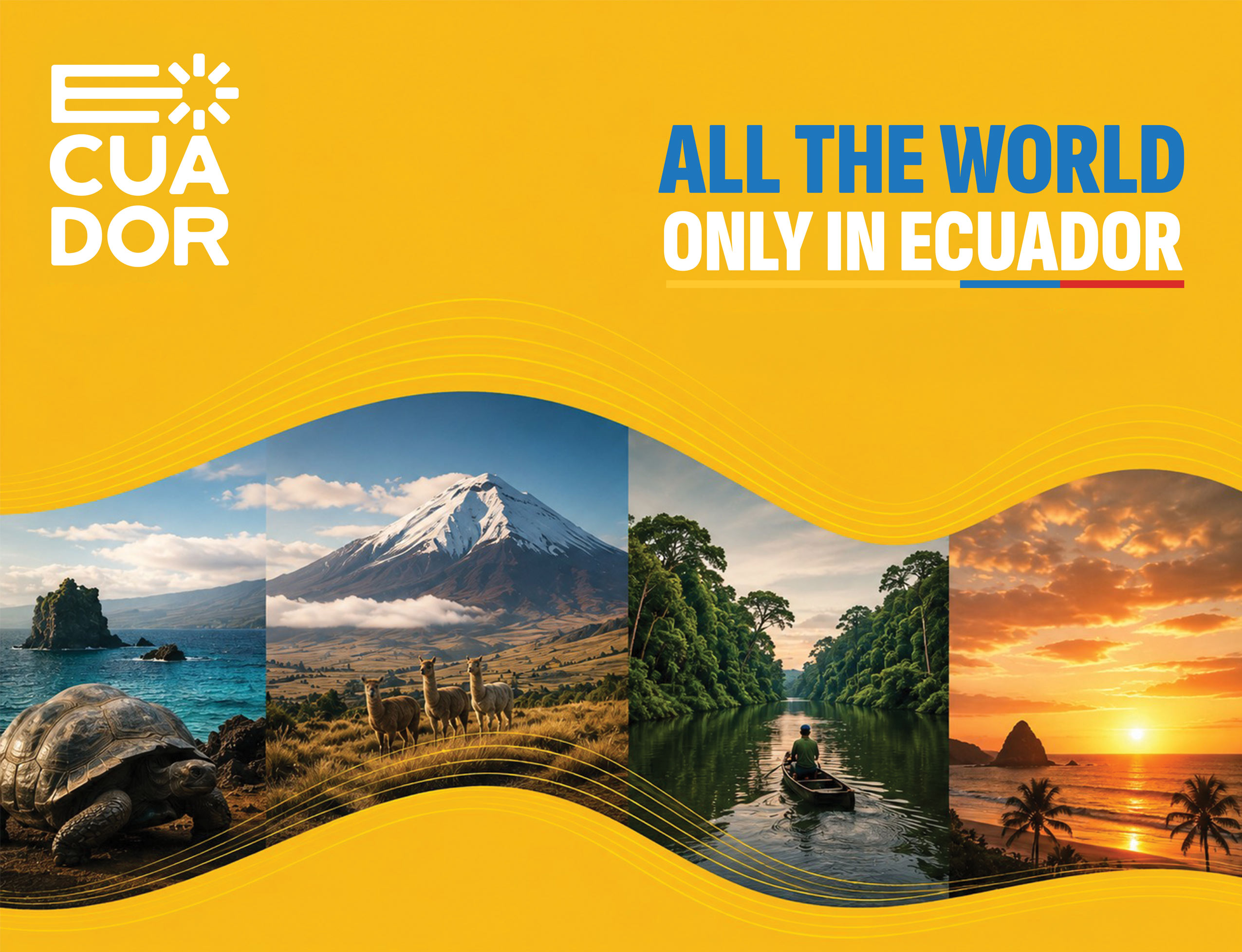 All The World Only In Ecuador Mundial FIFA 2026 Campana