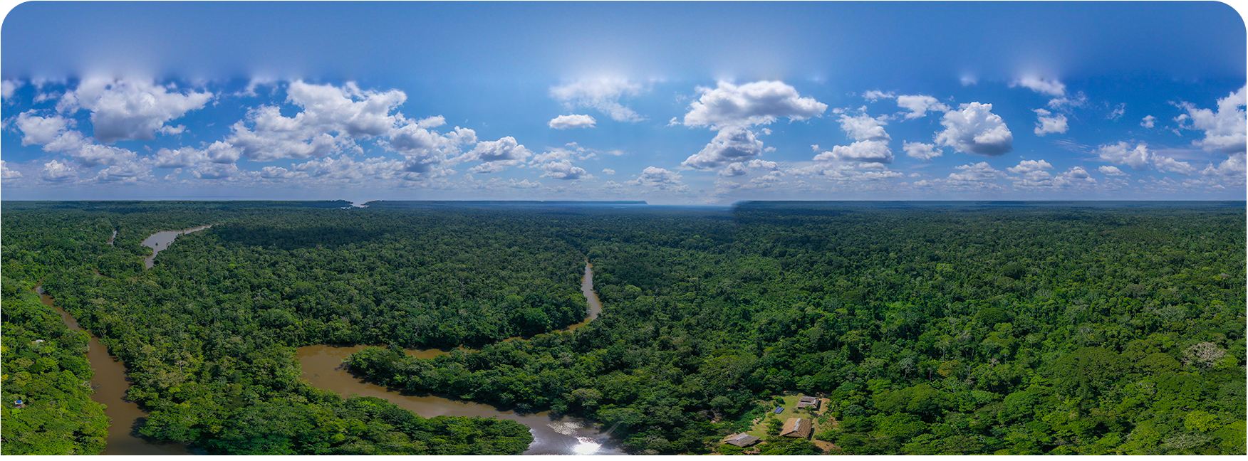 YASUNI1